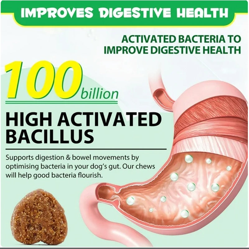 OEM Hot Sales Probiotics Chews For Pets Customized Shape For Digestive