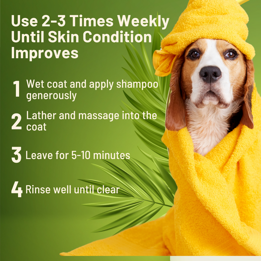 Sulfur & Neem Restorative Shampoo with Oatmeal