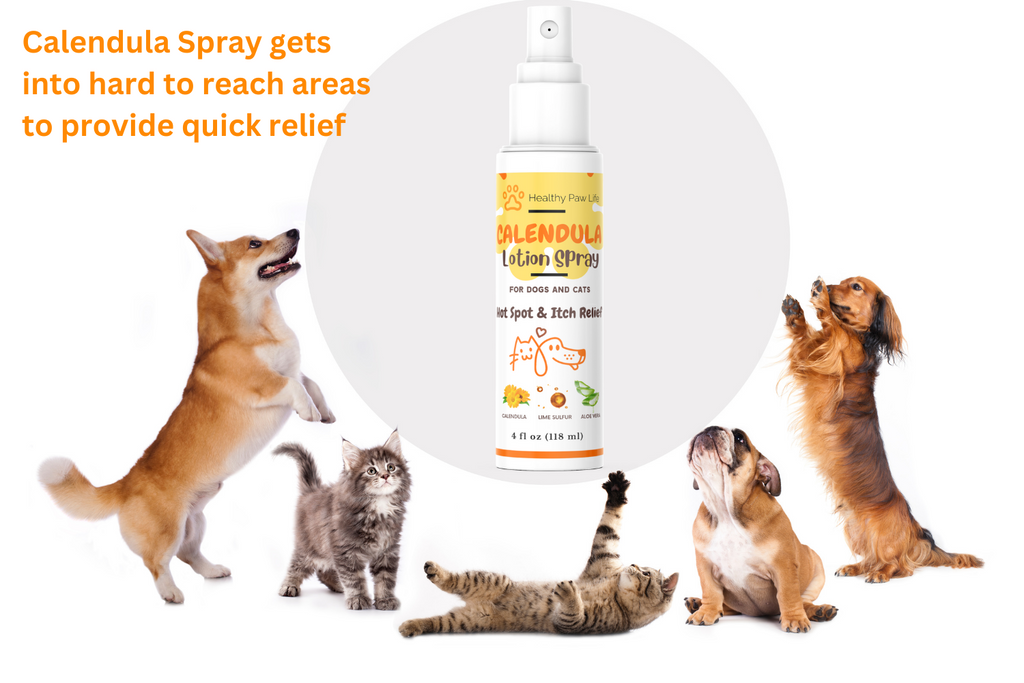 Calendula Lotion Spray