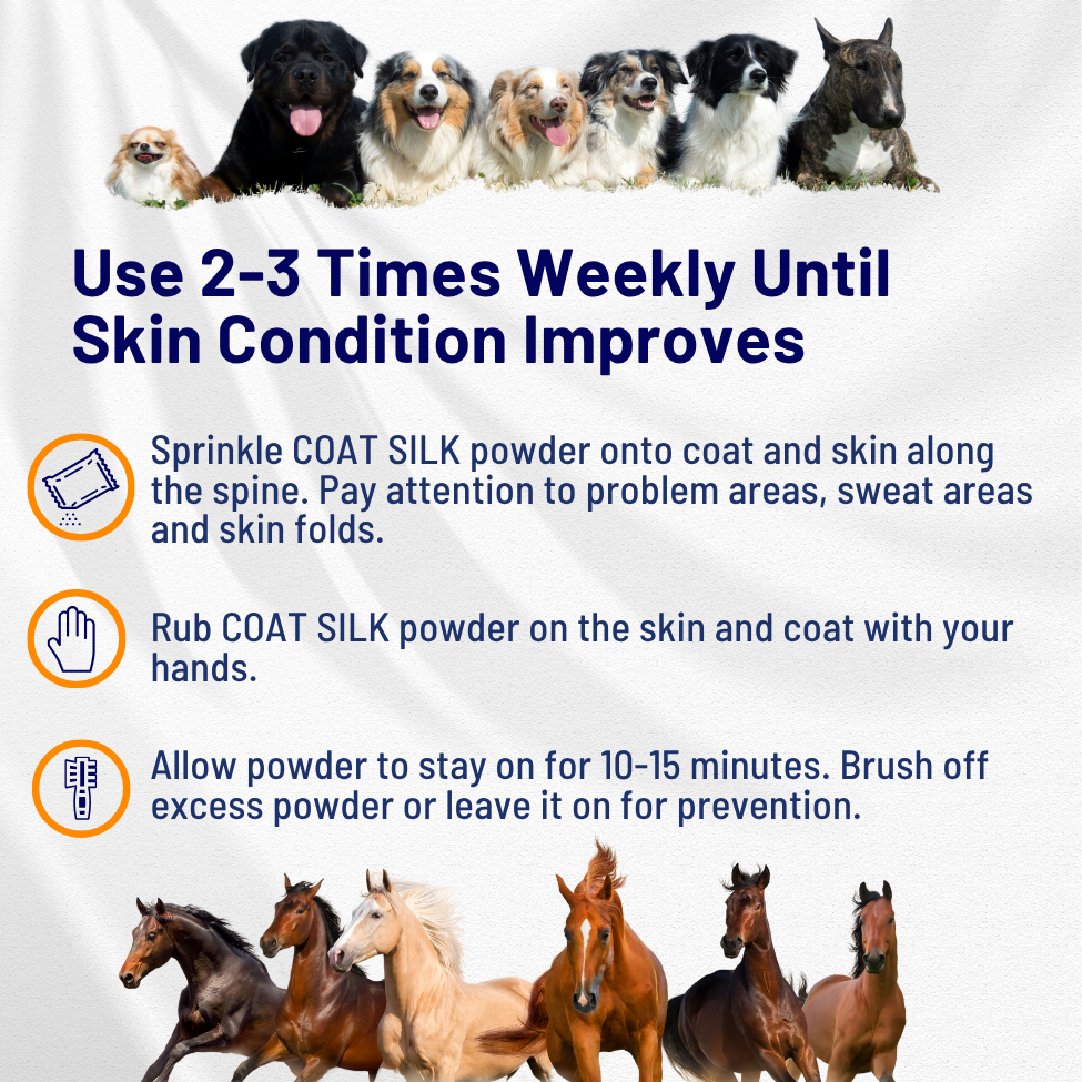 COAT SILK - Canine and Equine Dry Powder | Alleviate Odors and Itchiness | Relieves Rain Rot and Sweet Itch | Holistic Remedy and Soothing Formula
