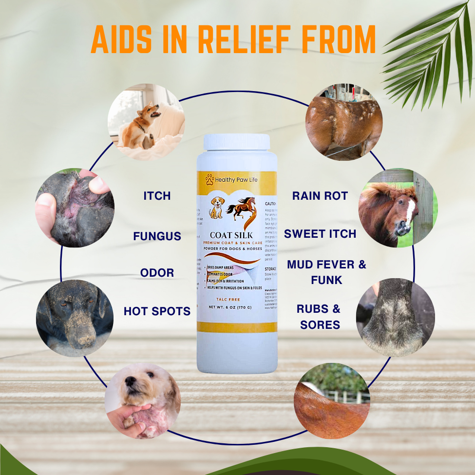 COAT SILK - Canine and Equine Dry Powder | Alleviate Odors and Itchiness | Relieves Rain Rot and Sweet Itch | Holistic Remedy and Soothing Formula