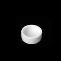 Durable Ceramic Reptile Food Bowl With Escape-Proof Design