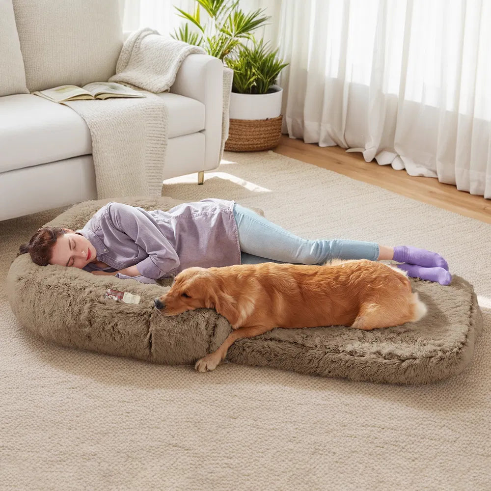 Human Dog Bed 71 X 43 X12 Dog Beds For Large Dogs Foldable Plush