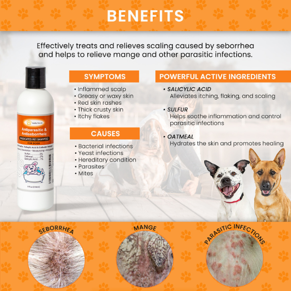 Sulfur Salicylic Acid Oatmeal Dog Shampoo