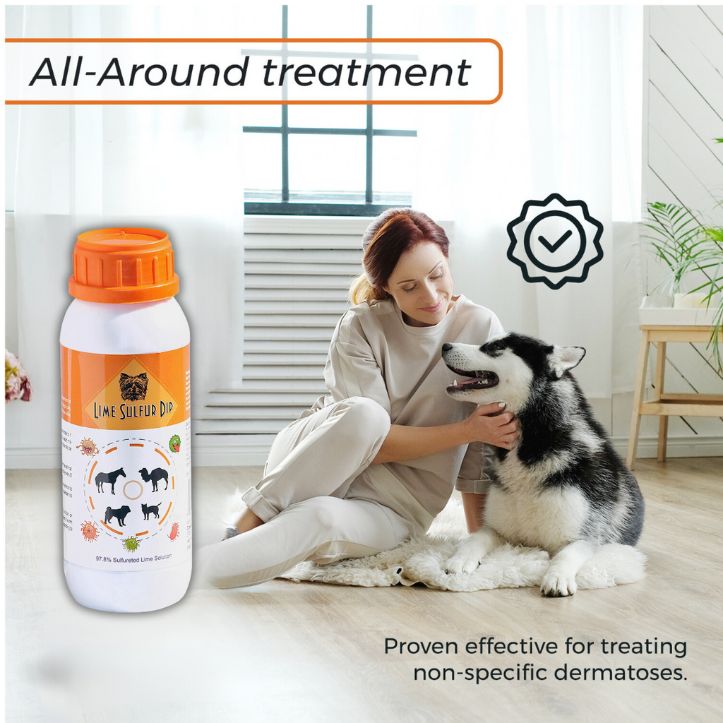 Skin & Coat Care Combo - Lime Sulfur Dip  and Sulfur Dog Shampoo