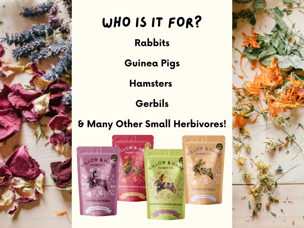 Garden of Roses Forage Blend