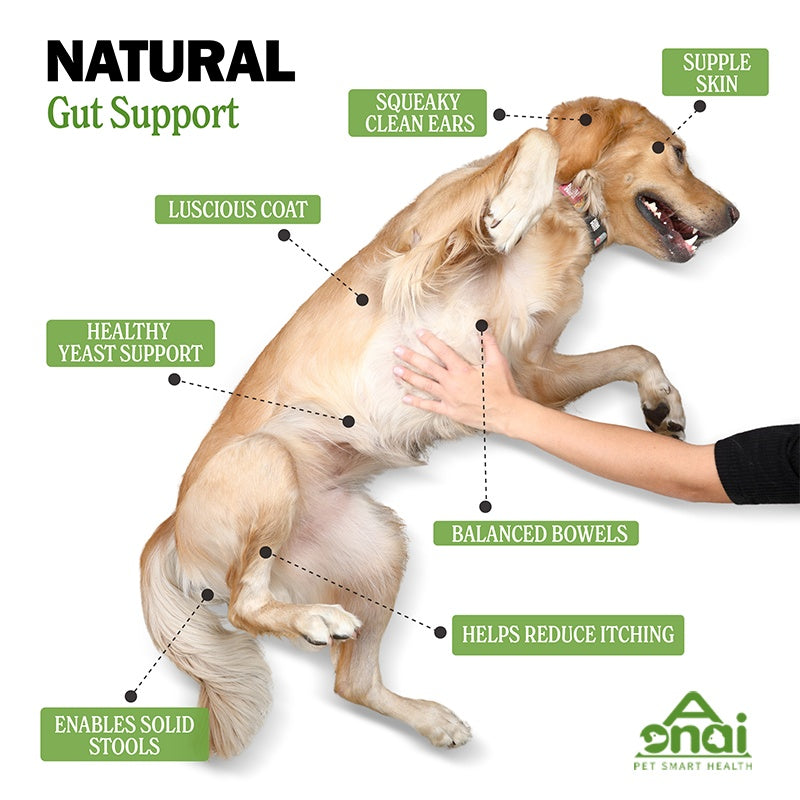 OEM Hot Sales Probiotics Chews For Pets Customized Shape For Digestive