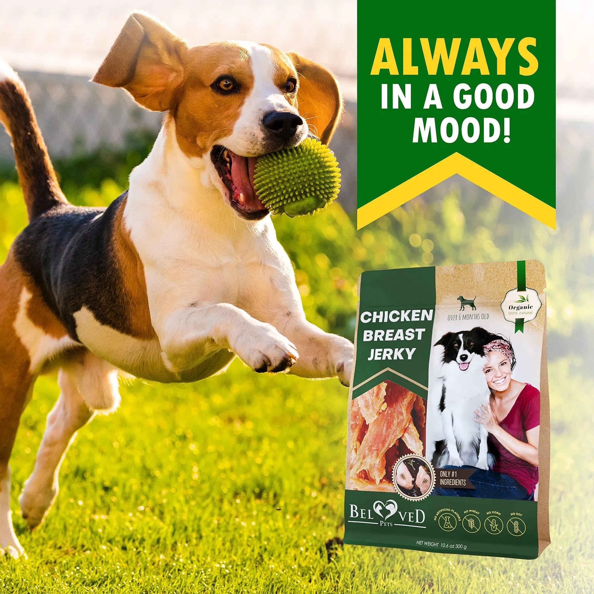 Chicken Jerky Dog Treats All Natural And Organic Healthy Snacks For