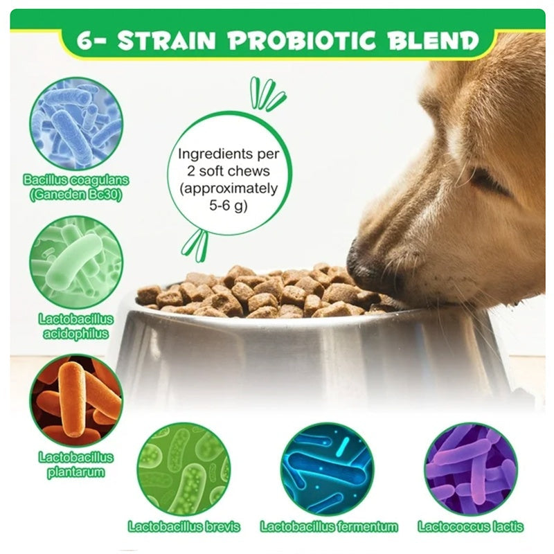 OEM Hot Sales Probiotics Chews For Pets Customized Shape For Digestive