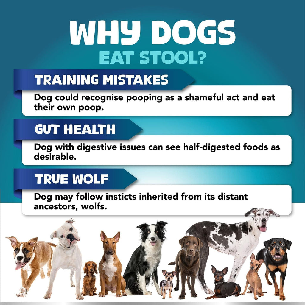 No Poo Chews for Dogs Stop Poop Eating Behavior Probiotics and
