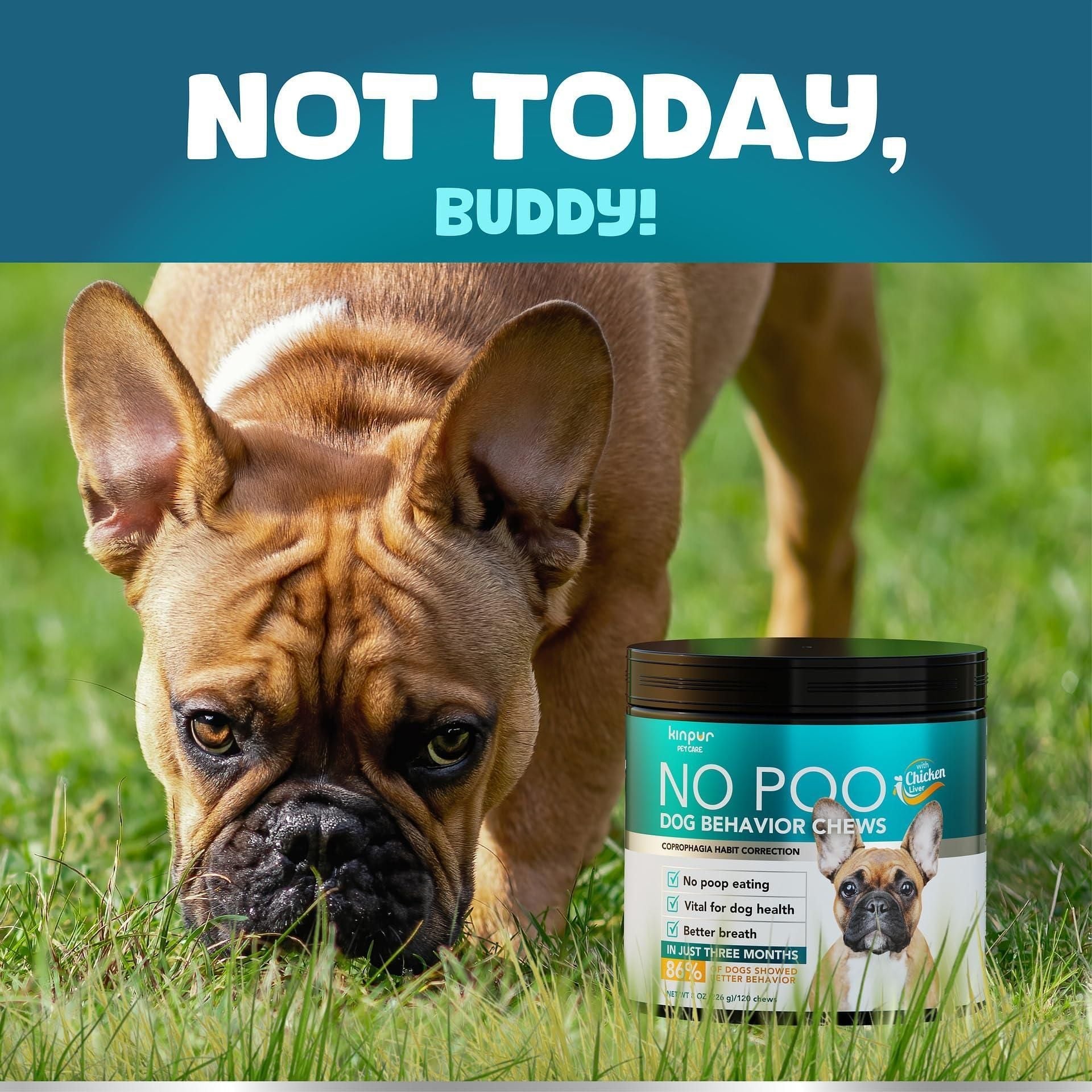 No Poo Chews for Dogs Stop Poop Eating Behavior Probiotics and